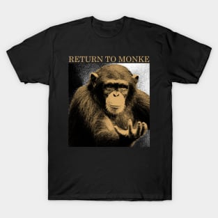 Return to Monke Vintage Brown T-Shirt